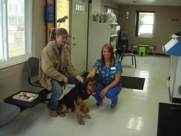 VCA Dudley Avenue Animal Hospital 12