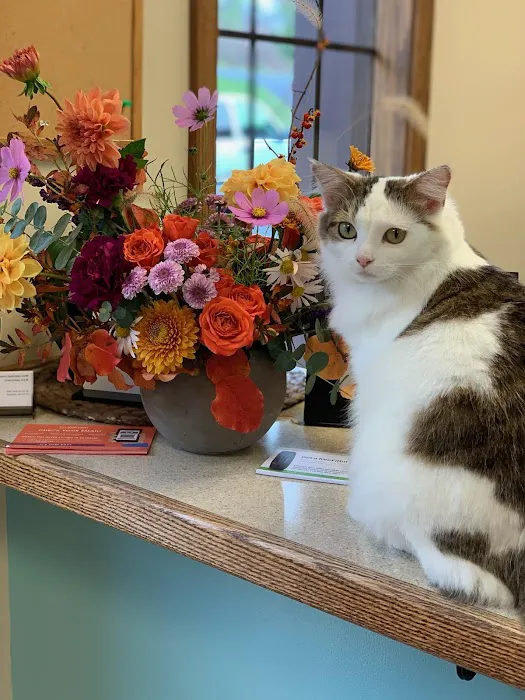 Green Meadow Veterinary Hospital 8