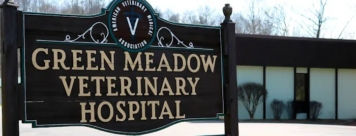 Green Meadow Veterinary Hospital 7