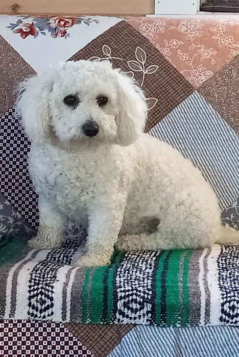 Wolf Creek Veterinary Services- Mary Uhl DVM 5