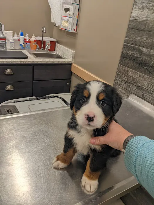 East Holmes Veterinary Clinic 1