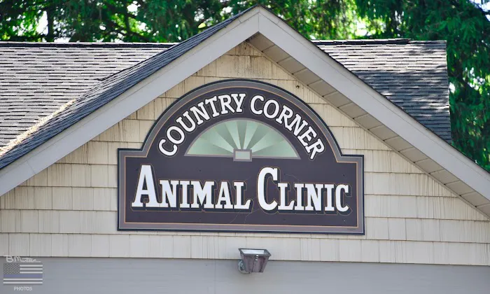 Country Corner Animal Clinic 12