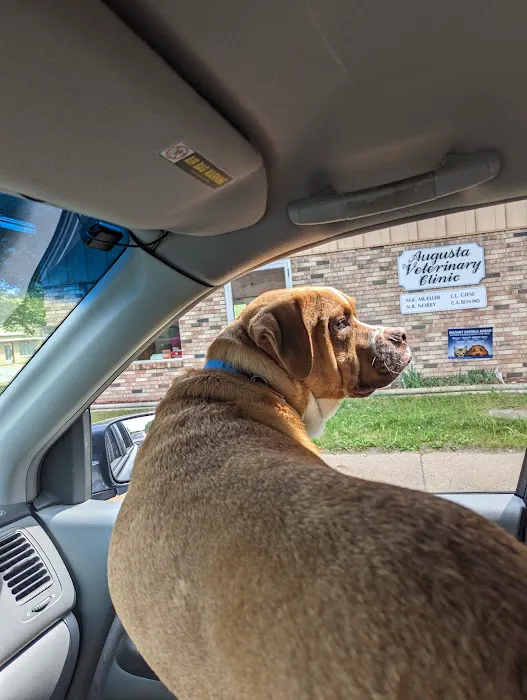 Augusta Veterinary Clinic 3