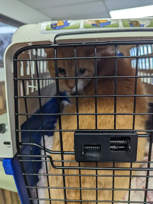 Augusta Veterinary Clinic 2