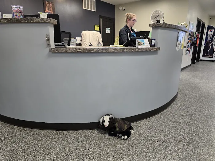 Spring Valley Vet Clinic 2