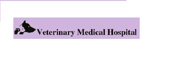 Veterinary Medical Hospital 5