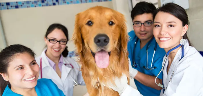 Veterinary Medical Hospital 7