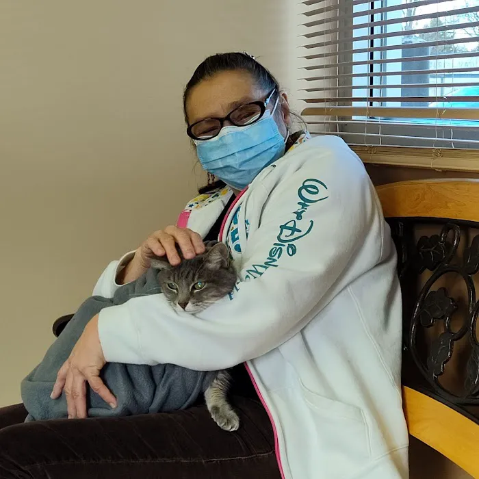 Veterinary Medical Hospital 2