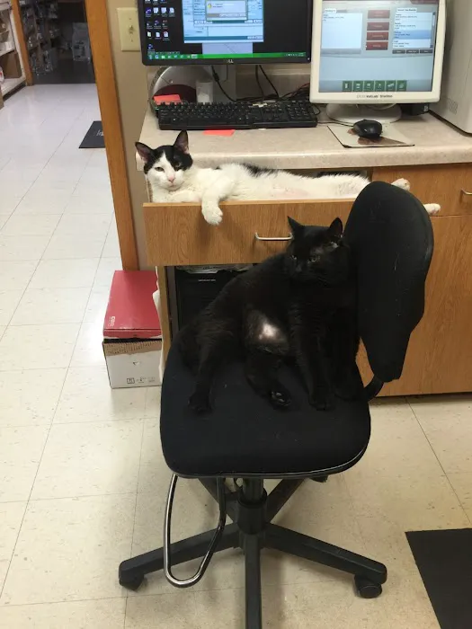 Austin Veterinary Clinic 6
