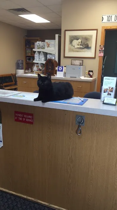 Austin Veterinary Clinic 9