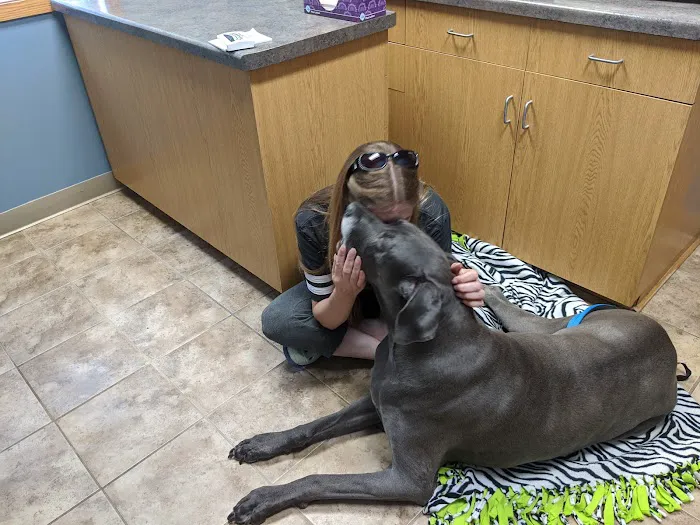 Austin Veterinary Clinic 4