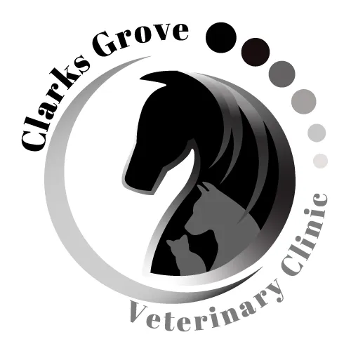Clarks Grove Veterinary Clinic 5