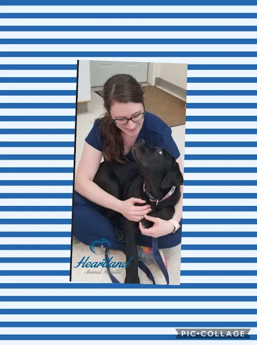 Heartland Animal Hospital 12