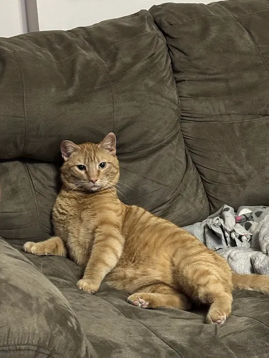 Heartland Animal Hospital 12