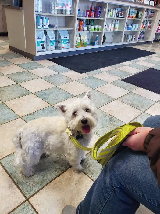 South 71 Veterinary Clinic 12