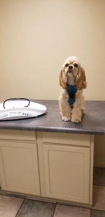 South 71 Veterinary Clinic 12