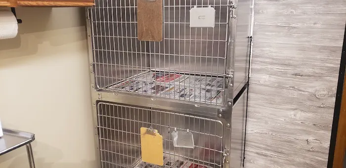 South 71 Veterinary Clinic 12