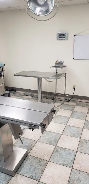 South 71 Veterinary Clinic 12