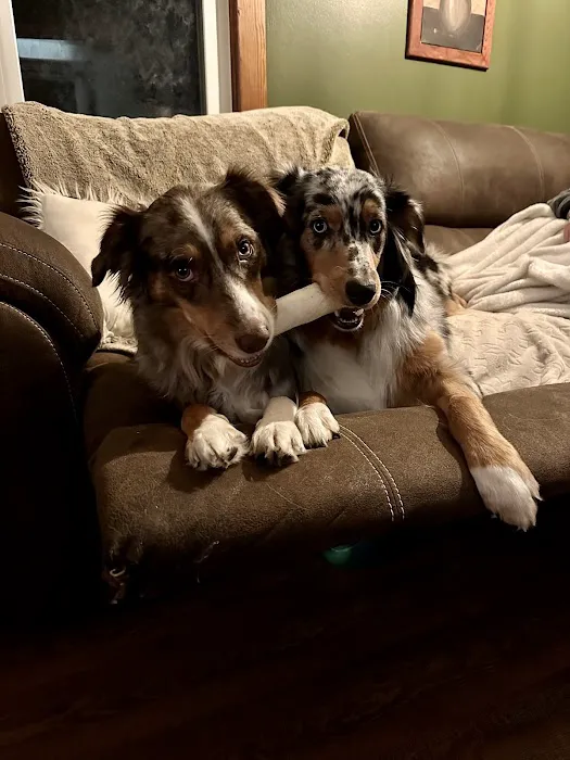 Ark Animal Hospital 7