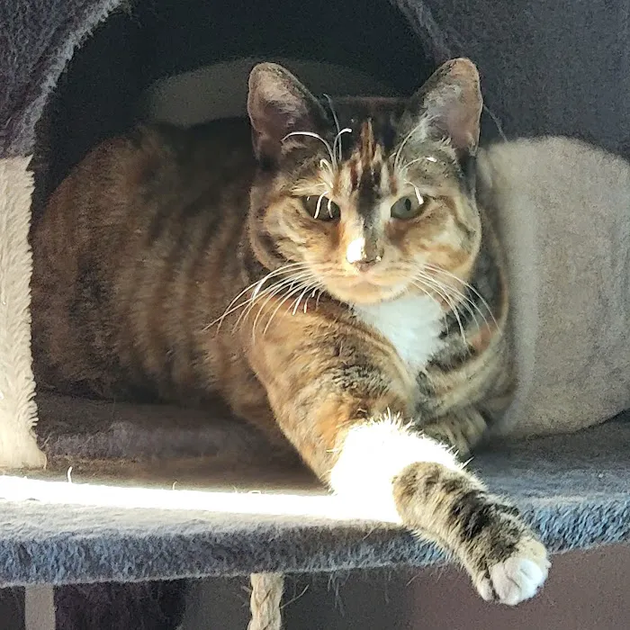Banfield Pet Hospital 2
