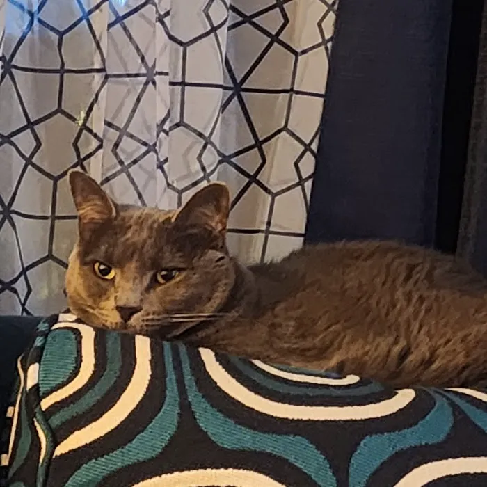 Medina Veterinary Clinic 12