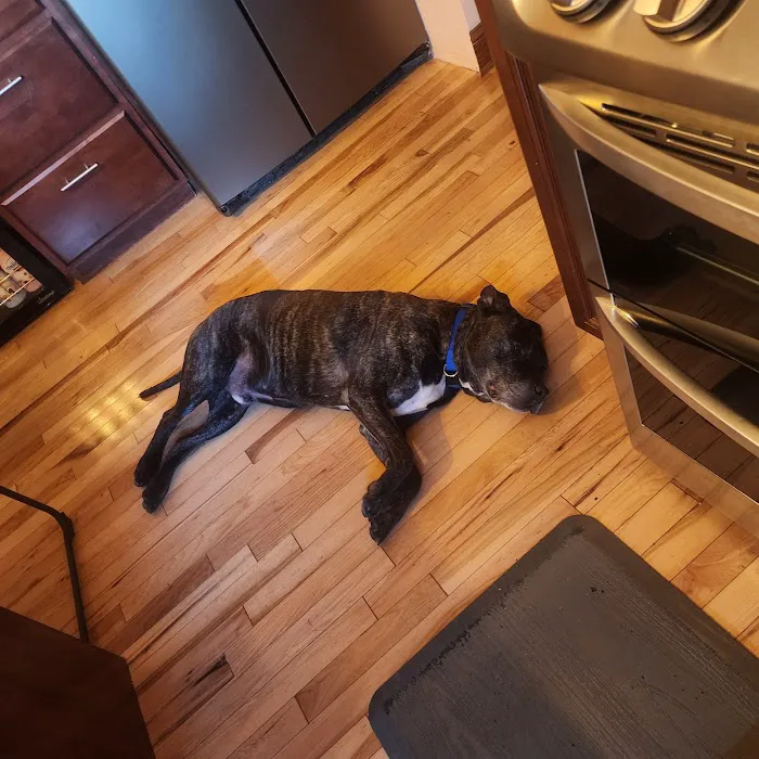 Medina Veterinary Clinic 12