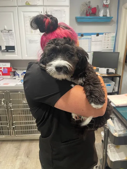 Tender Loving Care Animal Hospital 8