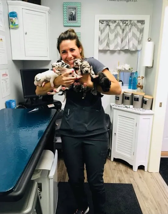 Tender Loving Care Animal Hospital 3
