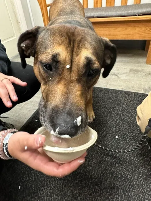 Tender Loving Care Animal Hospital 1