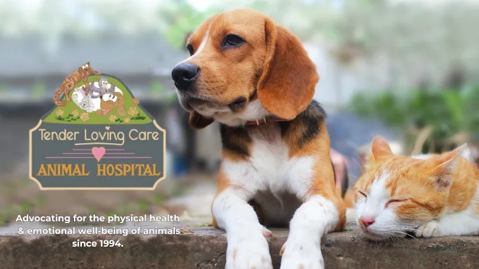 Tender Loving Care Animal Hospital 10