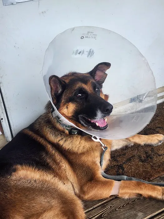 Seville Animal Hospital 12