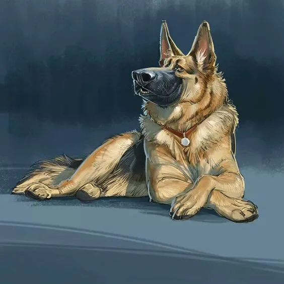 Seville Animal Hospital 12