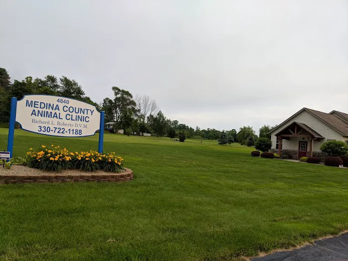 Southern Medina Veterinary Clinic 12