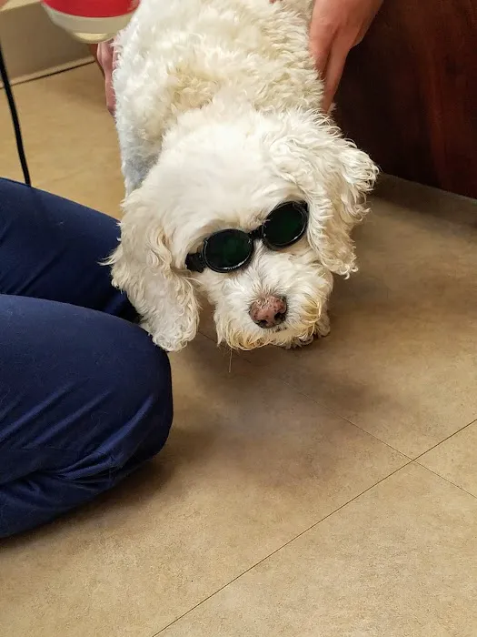 Seville Wadsworth Veterinary Clinic 12