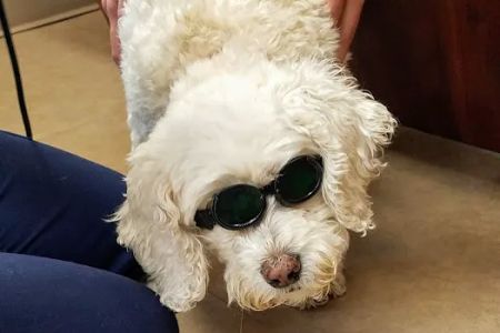 Seville Wadsworth Veterinary Clinic
