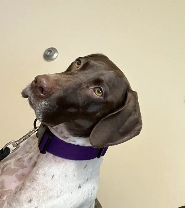 Seville Wadsworth Veterinary Clinic 12