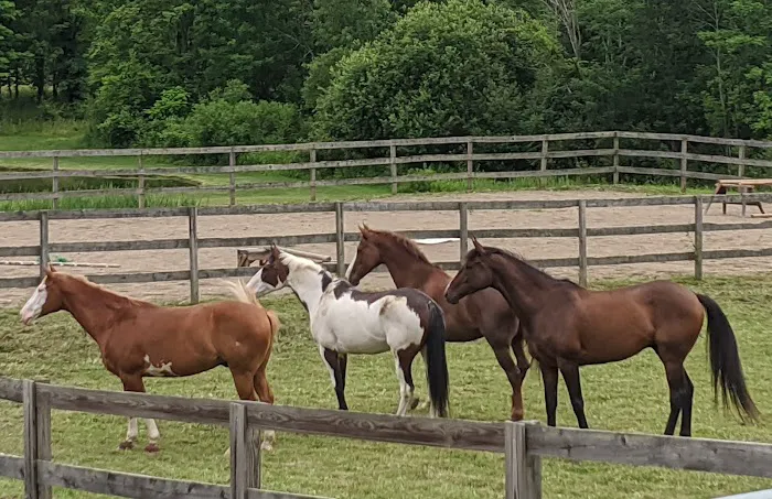 Willow Creek Veterinary Service 3