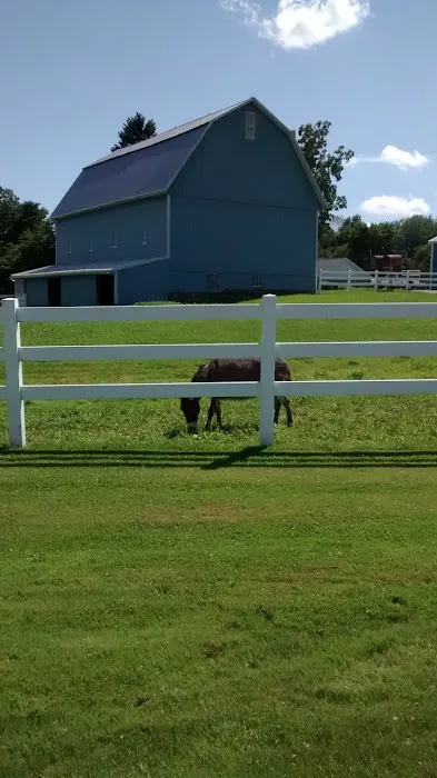 Sharon Center Veterinary Hospital 1