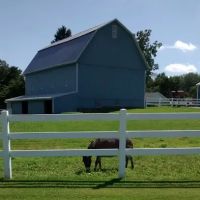 Sharon Center Veterinary Hospital ico