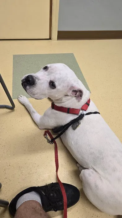 Sharon Center Veterinary Hospital 4