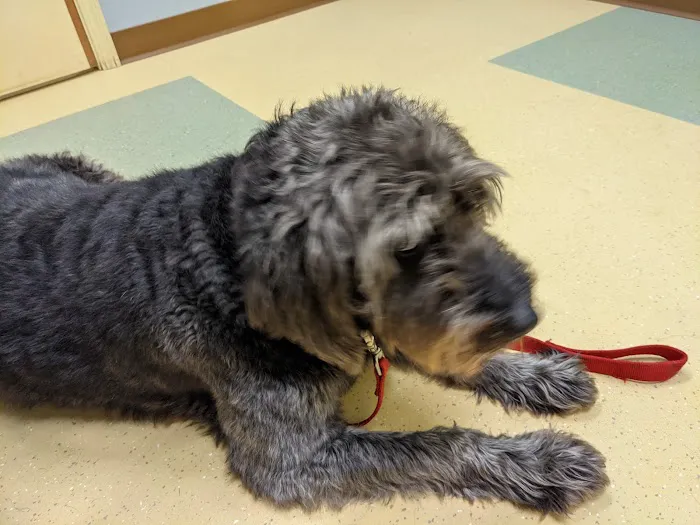 Sharon Center Veterinary Hospital 9