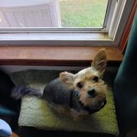 Endless Trails Animal Clinic ico