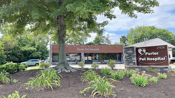 Porter Pet Hospital 12