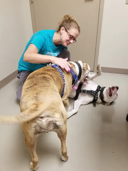 Porter Pet Hospital 12
