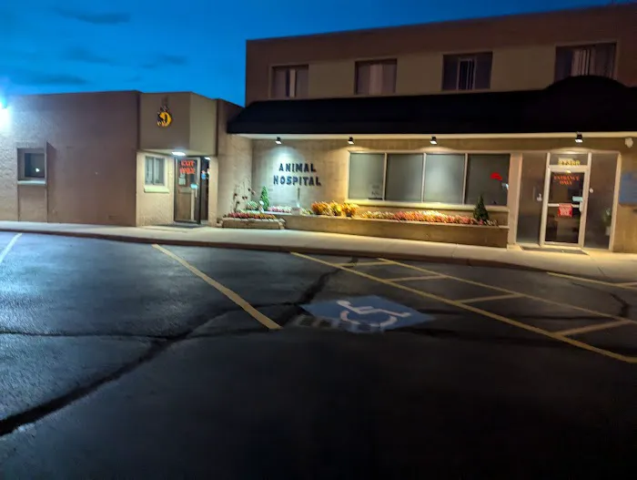 Detroit Dover Animal Hospital 12