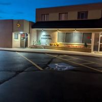 Detroit Dover Animal Hospital ico