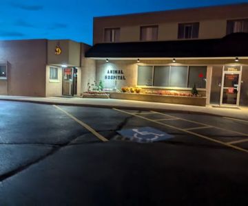 Detroit Dover Animal Hospital