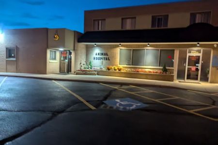 Detroit Dover Animal Hospital