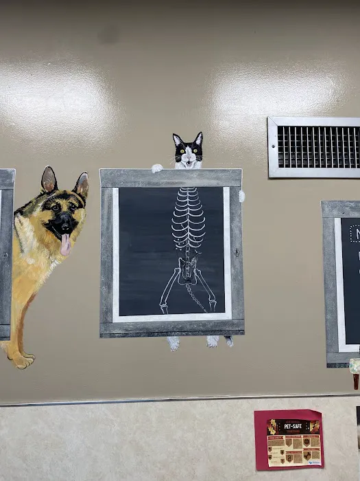Detroit Dover Animal Hospital 12