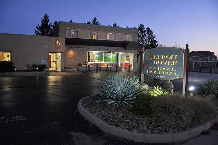 Detroit Dover Animal Hospital 12